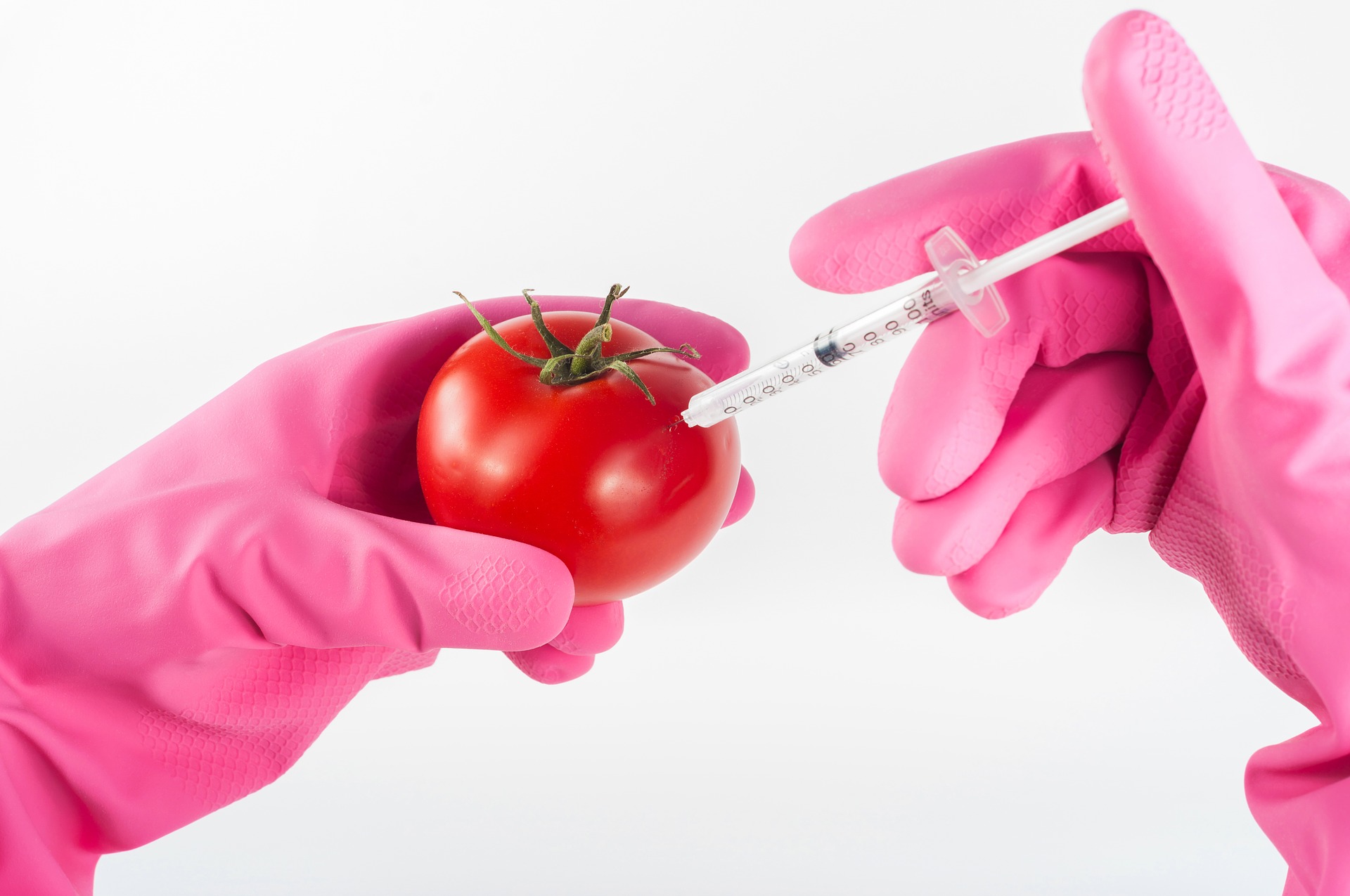 Fundamentos de microbiología de alimentos